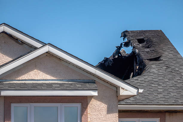 Top rated local Board Up Services specialists in Morton, TX